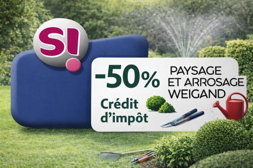 Entretien de jardin avec crédit d’impôt à Nîmes