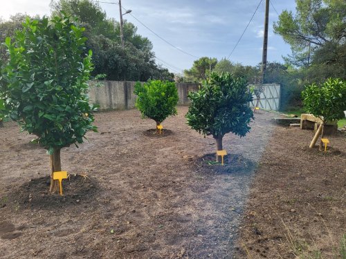 Paysagiste travaux de plantation Gard 30