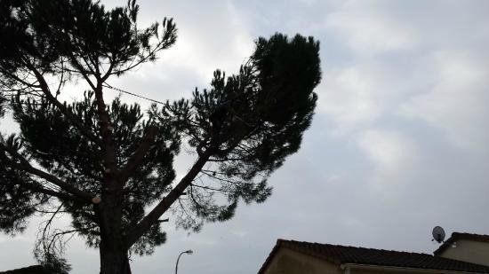 Engin thermique pour l'entretien d’espace vert sur Lunel