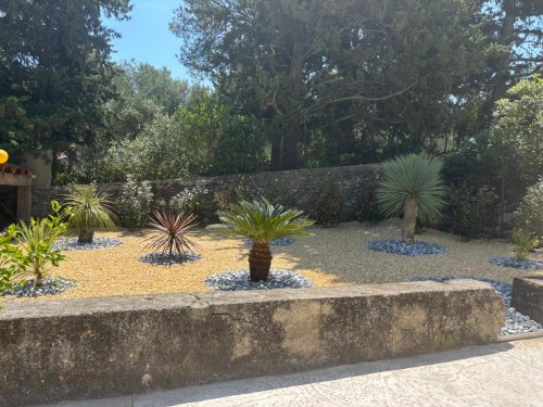 Massif exotique Nimes