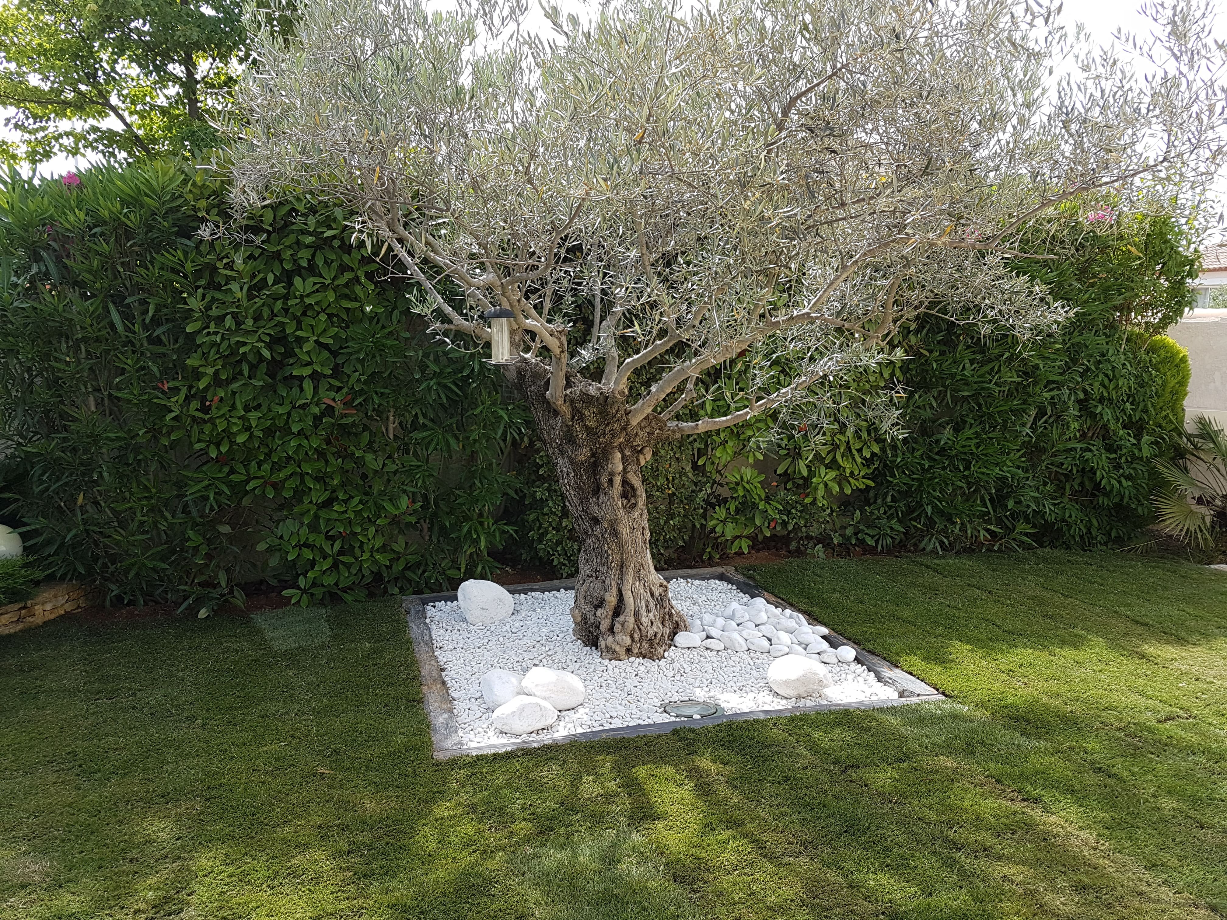Traitement de jardin phytosanitaire Alès