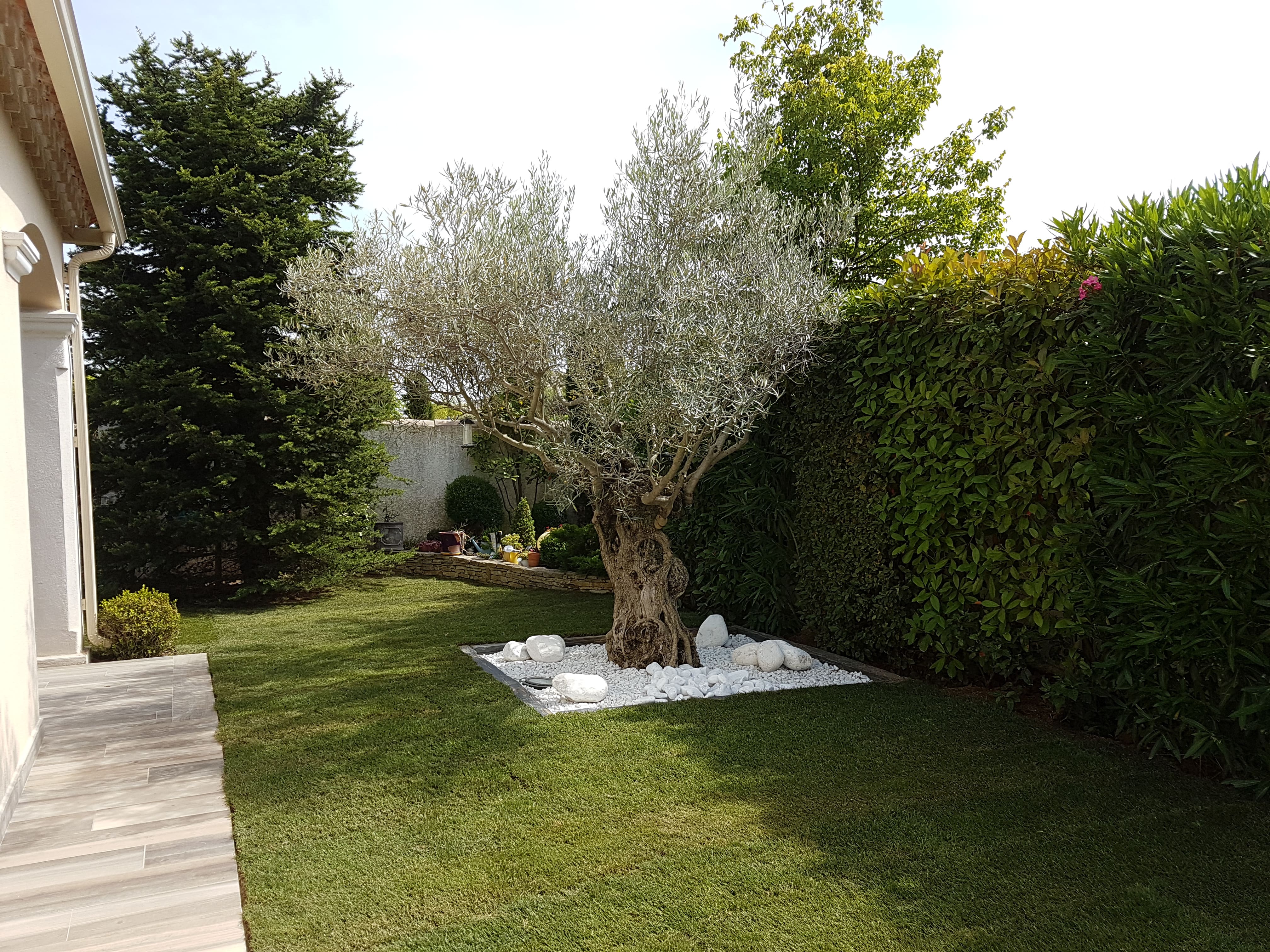 ﻿Contrat d’entretien de jardin à Montpellier